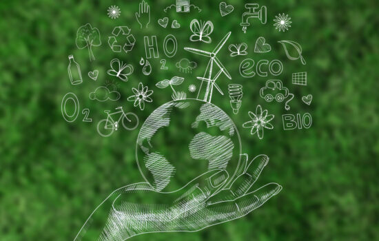 ElriBird Eco Friendly Products
